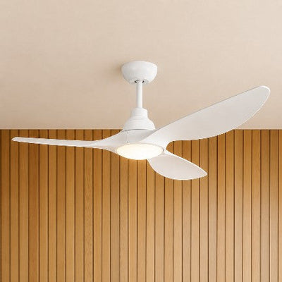 Ceiling Fans with Lights