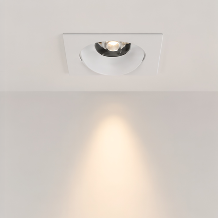 Adjustable Downlights