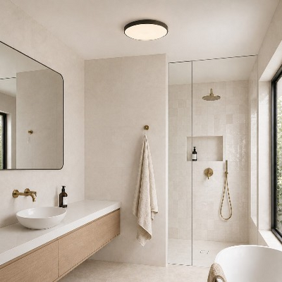 Bathroom Ceiling