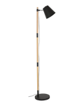 Alrik Floor Lamp Black