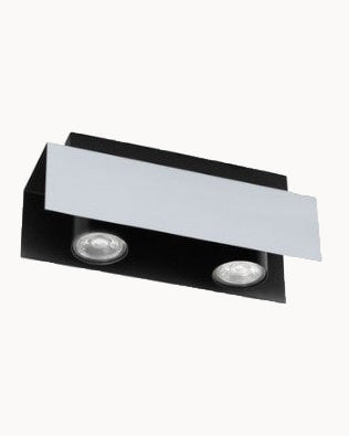 Two light spotlight with black trim
