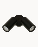 Castana 2 Light Pan CCT IP65 Wall Light Black