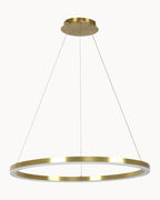 Roto Dimmable Pendant Brass