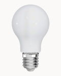 LED A60 frosted bulb