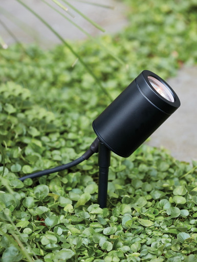Black garden spot