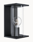 Black and clear diffuser exterior wall light