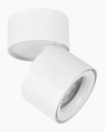 White tiltable spot