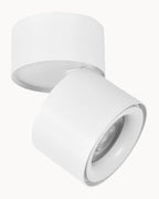 White tiltable spot