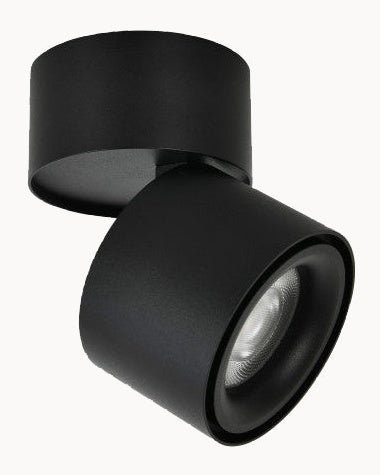 Black tiltable spot