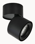 Black tiltable spot