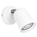 Camaldoli Spotlight White