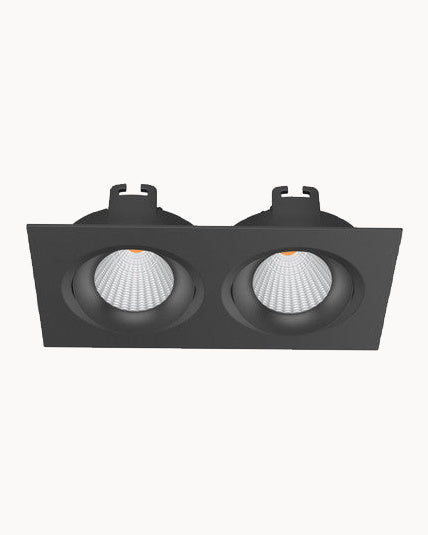 Black two light square downlight