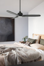 Black fan