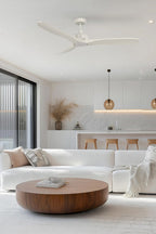White fan