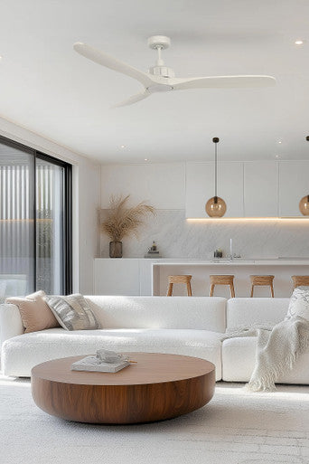 White fan