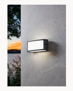 Black exterior light, outside light, IP54 rated light, LED wall light