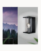 Black and clear diffuser exterior wall light