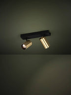 Black and brass two-light spotlight