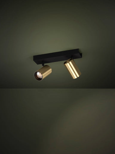 Black and brass two-light spotlight