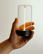 Night Light Carbon